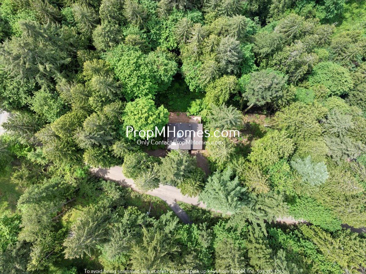 Rare Home Find - Forest Setting Right Outside of Sherwood! property image