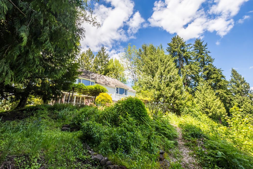 Riverfront Perfection - Charming 3 Bedroom Lake Oswego Home! property image