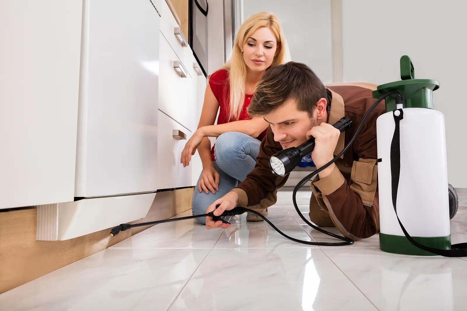 Best Practices for Handling Tenant Complaints About Pests in Portland